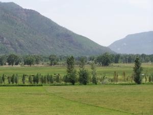 Mountains in New Mexico image