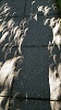 Viewing the solar eclipse